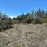  Land for sale in Punilla, Cordoba, Punilla