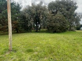  Land for sale in General Alvarado, Buenos Aires, General Alvarado