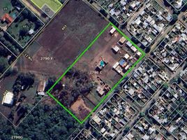  Land for sale in La Plata, Buenos Aires, La Plata