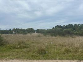  Land for sale in General Alvarado, Buenos Aires, General Alvarado