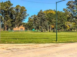  Land for sale in San Vicente, Buenos Aires, San Vicente