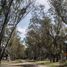  Land for sale in San Vicente, Buenos Aires, San Vicente