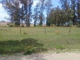  Land for sale in General Alvarado, Buenos Aires, General Alvarado