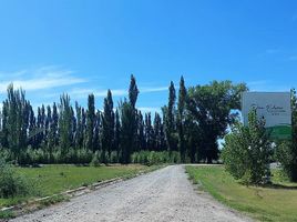  Terreno (Parcela) en venta en Confluencia, Neuquen, Confluencia