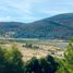  Land for sale in Lacar, Neuquen, Lacar, Neuquen