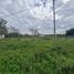  Land for sale in Colon, Entre Rios, Colon