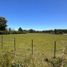  Land for sale in Concordia, Entre Rios, Concordia