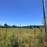  Land for sale in Concordia, Entre Rios, Concordia