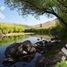  Land for sale in Alumine, Neuquen, Alumine