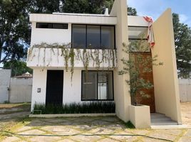 Maison 4 chambre à vendre à Zapopan, Jalisco, Zapopan, Jalisco
