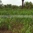  Land for sale in Cadereyta Jimenez, Nuevo Leon, Cadereyta Jimenez, Nuevo Leon