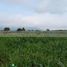  Land for sale in Cadereyta Jimenez, Nuevo Leon, Cadereyta Jimenez, Nuevo Leon