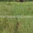  Land for sale in Cadereyta Jimenez, Nuevo Leon, Cadereyta Jimenez, Nuevo Leon