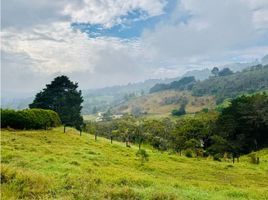  Grundstück zu verkaufen in Rionegro, Antioquia, Rionegro