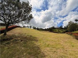  Land for sale in Rionegro, Antioquia, Rionegro