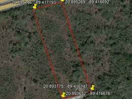  Land for sale in Seye, Yucatan, Seye