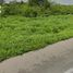  Land for sale in Seye, Yucatan, Seye