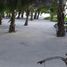  Grundstück zu verkaufen in Othon P Blanco, Quintana Roo, Othon P Blanco