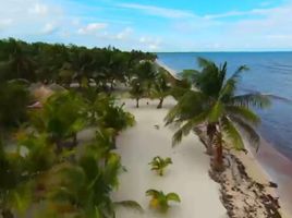  Grundstück zu verkaufen in Othon P Blanco, Quintana Roo, Othon P Blanco