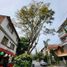 4 Habitación Villa en venta en Museo de Antioquia, Medellín, Medellín