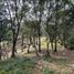  Land for sale in Medellin Antioquia, Medellin