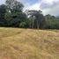  Land for sale in Medellin Antioquia, Medellin
