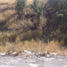  Grundstück zu verkaufen in Nogales, Sonora, Nogales
