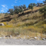  Grundstück zu verkaufen in Nogales, Sonora, Nogales