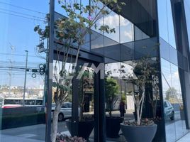23 m² Office for rent in Queretaro, Queretaro, Queretaro
