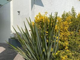 Maison 3 chambre à vendre à Naucalpan De Juarez, Mexico, Naucalpan De Juarez