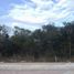 在Mococha, Yucatan出售的 土地, Mococha