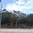 在Mococha, Yucatan出售的 土地, Mococha