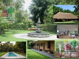 15 Schlafzimmer Haus zu verkaufen in Miacatlan, Morelos, Miacatlan