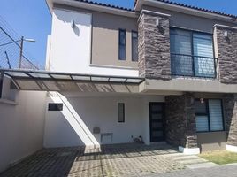Maison 3 chambre à louer à Toluca, Mexico, Toluca