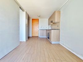 1 Bedroom Apartment for rent in Cerro San Cristobal, Santiago, Santiago, Santiago