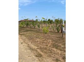  Land for sale in Los Santos, Pocri, Pocri, Los Santos