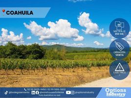  Land for sale in Torreon, Coahuila, Torreon
