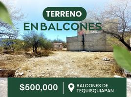  Terreno (Parcela) en venta en Tequisquiapan, Querétaro, Tequisquiapan