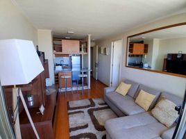 1 Habitación Departamento en venta en Cordillera, Santiago, Puente Alto, Cordillera