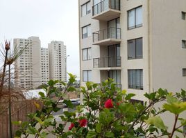 3 Bedroom Condo for rent in Valparaiso, Vina Del Mar, Valparaiso, Valparaiso