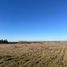  Land for sale in Maule, Parral, Linares, Maule
