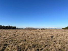  Land for sale in Maule, Parral, Linares, Maule