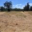  Land for sale in Chile, Osorno, Osorno, Los Lagos, Chile