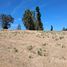  Land for sale in Chile, Osorno, Osorno, Los Lagos, Chile