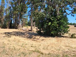  Land for sale in Chile, Osorno, Osorno, Los Lagos, Chile