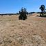  Land for sale in Chile, Osorno, Osorno, Los Lagos, Chile