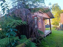 2 chambre Maison for rent in Puerto Varas, Llanquihue, Puerto Varas