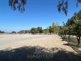 Land for sale in Maule, Villa Alegre, Linares, Maule