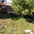  Land for sale in Chile, Temuco, Cautin, Araucania, Chile