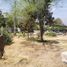  Land for sale in Chile, San Jode De Maipo, Cordillera, Santiago, Chile